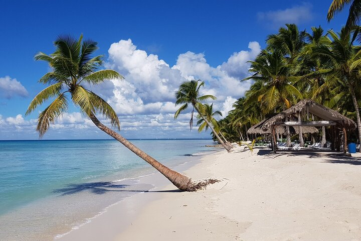 Full Day Tour to Saona Island from Samana - Photo 1 of 13